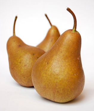 Pears - Bosc 1